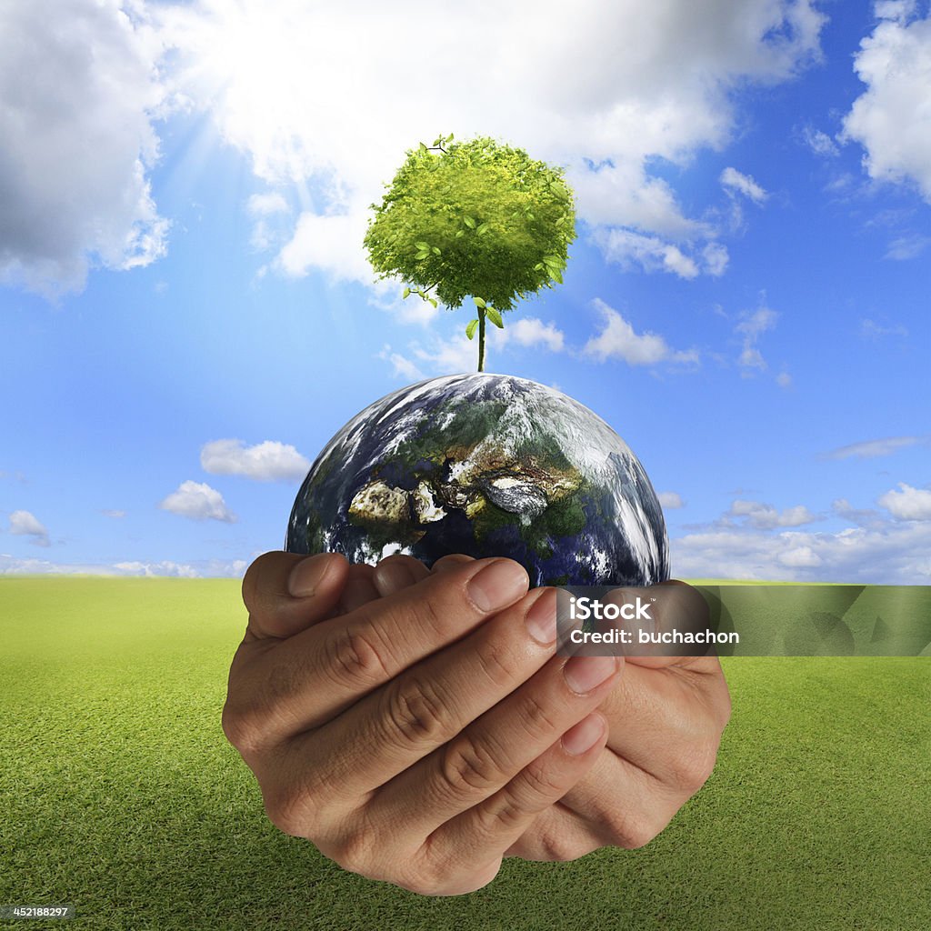 tree on the earth tree on the earth in hands concept,elements of this image furnished by NASA Beginnings Stock Photo