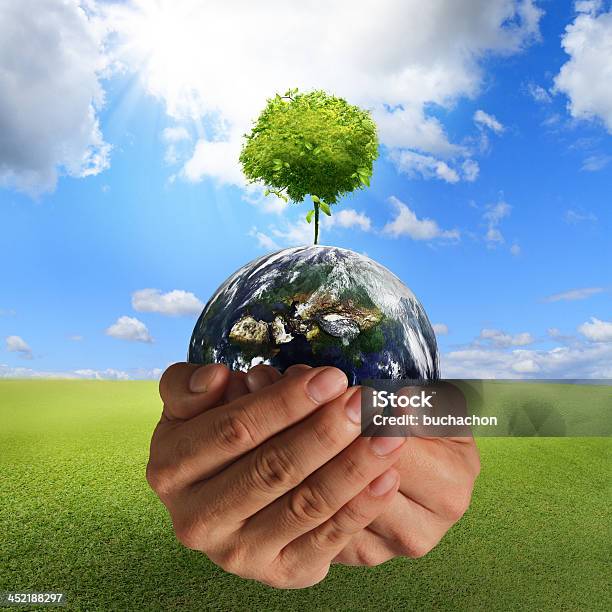 Tree On The Earth Stock Photo - Download Image Now - Beginnings, Blue, Development