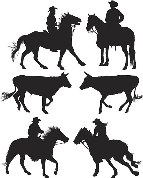 ilustraciones, imágenes clip art, dibujos animados e iconos de stock de múltiples imágenes de rodeo - rodeo cowboy horse silhouette