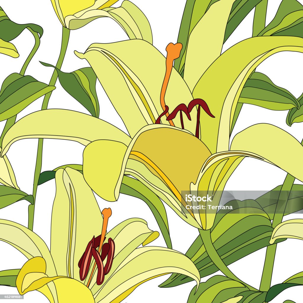 Kwiat Lilia bezszwowe tekstura. - Grafika wektorowa royalty-free (Bez ludzi)