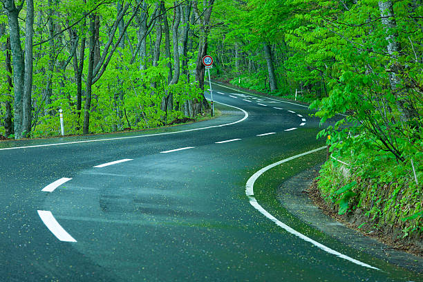 istock Wet road in a green forest 452190319