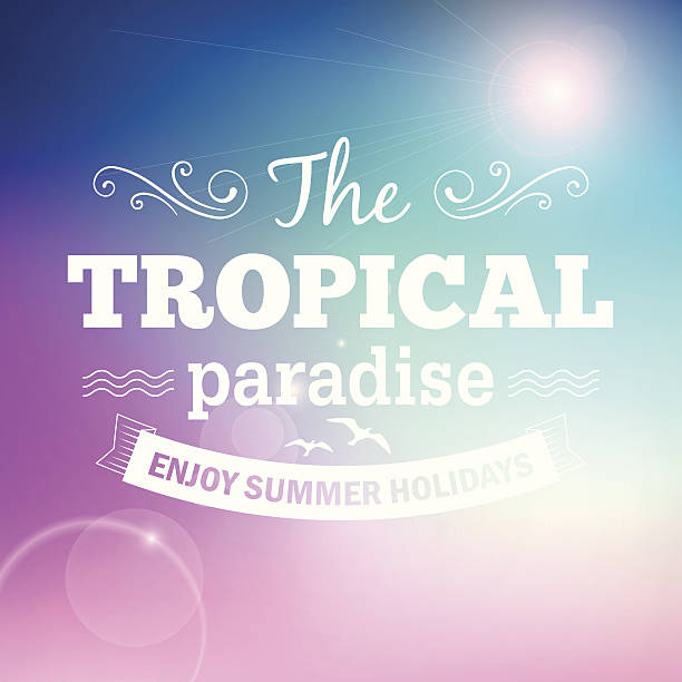 illustrations, cliparts, dessins animés et icônes de affiche de vacances d'été de typographie - summer exploration idyllic heaven
