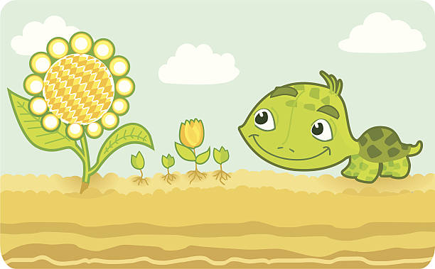 illustrazioni stock, clip art, cartoni animati e icone di tendenza di tartaruga poco sorridente con girasole. - tulip sunflower single flower flower