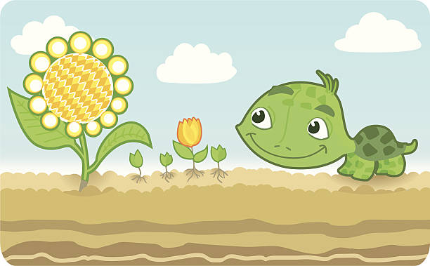 illustrazioni stock, clip art, cartoni animati e icone di tendenza di piccole tartarughe con girasole. - tulip sunflower single flower flower
