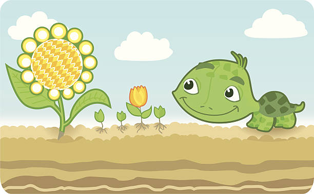 작은 거북이 선플라워. - tulip sunflower single flower flower stock illustrations