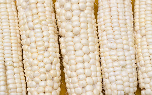 istock Photo of yellow corn 452196947