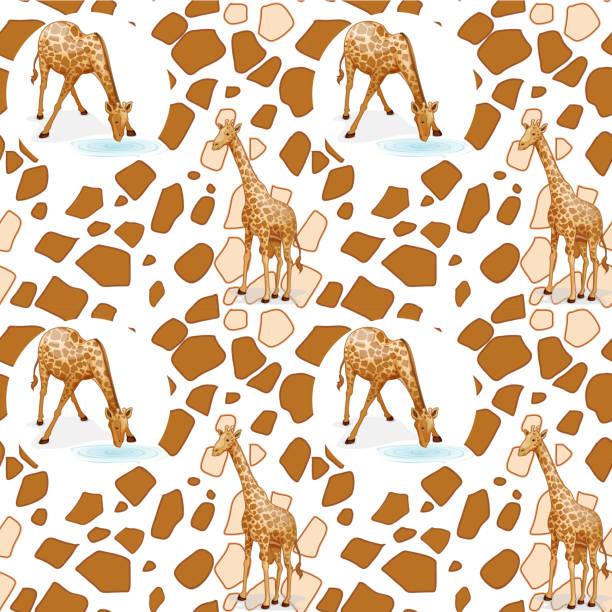 Giraffe Drinking Illustrations, Royalty-Free Vector Graphics & Clip Art - iStock Giraffe Drinking Illustrations, Royalty-Free Vector Graphics & Clip Art - iStock