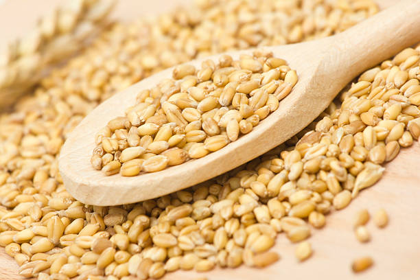 istock wheat in wooden scoop 452199963