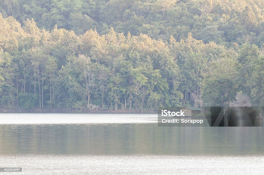 Am Wasser in der wilden - Lizenzfrei Aktivitäten und Sport Stock-Foto