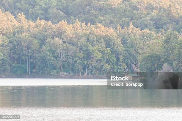 Am Wasser In Der Wilden Stockfoto und mehr Bilder von Aktivitäten und Sport - Aktivitäten und Sport, Baum, Canyon