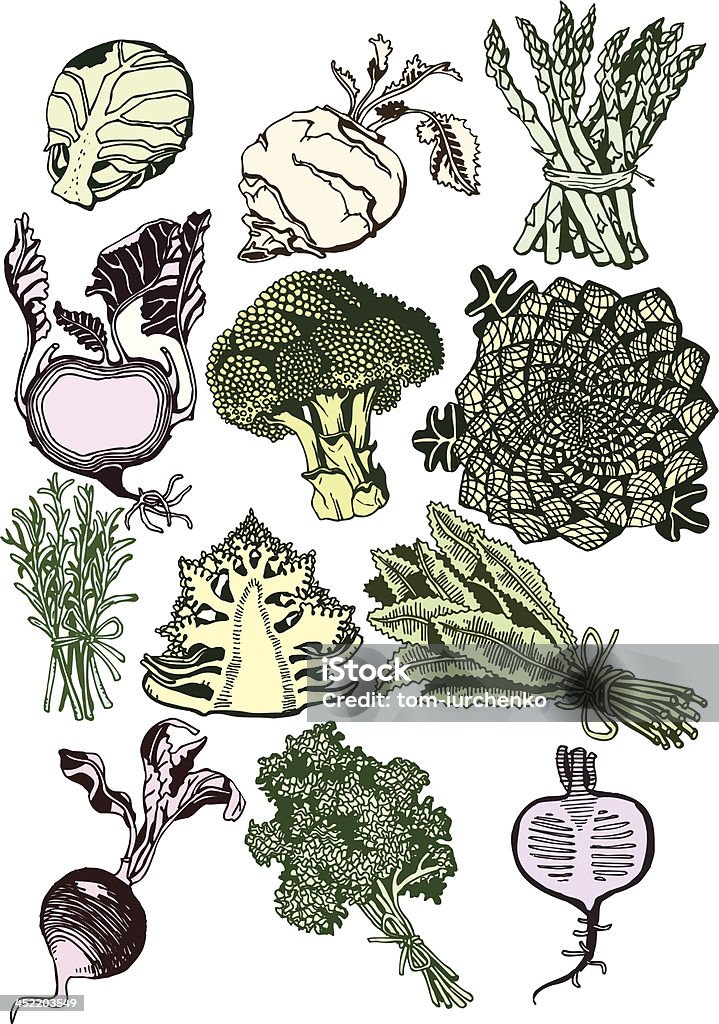 Wunderschöne Gemüse Kollektion - Lizenzfrei Brokkoli Vektorgrafik