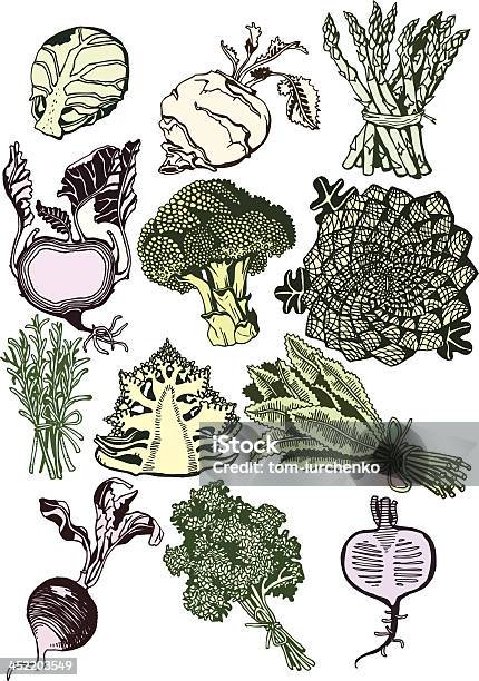 Wunderschöne Gemüse Kollektion Stock Vektor Art und mehr Bilder von Brokkoli - Brokkoli, Designelement, Einzelner Gegenstand