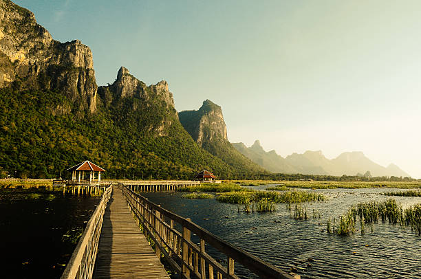 istock Bridge on the lake in national park 452203625