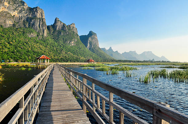 istock Bridge on the lake in national park 452203627