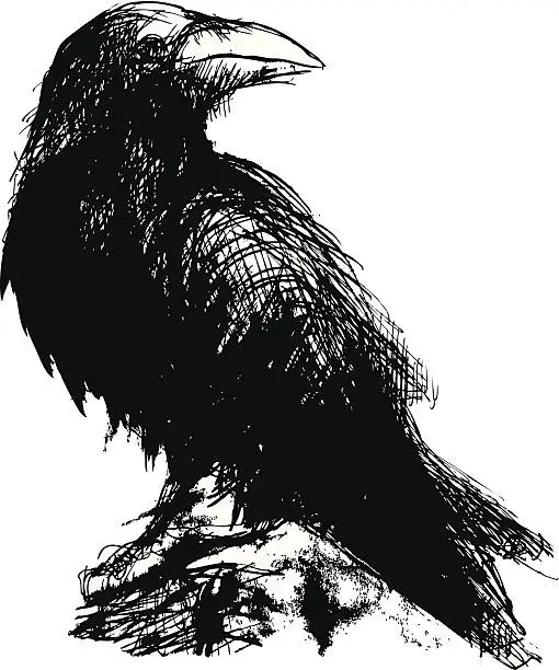 Vector illustration of Illustration of black crow on white background