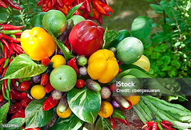 El Colorido De Chili Con Verduras Foto de stock y más banco de imágenes de Alimento - Alimento, Amarillo - Color, Berenjena - Vegetal