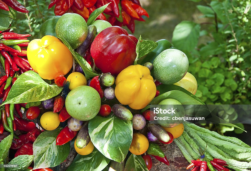 Il colorato di peperoncino con verdure - Foto stock royalty-free di Carota
