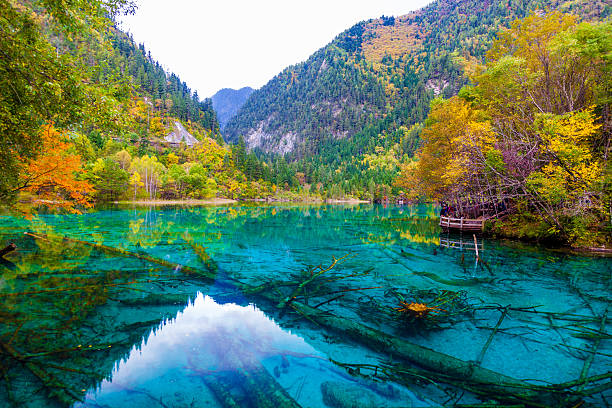 istock clear lake in fall of forest 452219683