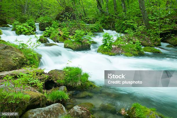 Stream Im Grünen Wald Stockfoto und mehr Bilder von Bach - Bach, Baum, Berg