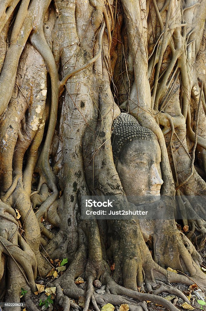 Faccia di Buddha in base al Wat Mahathat-Ayuthaya-Tailandia - Foto stock royalty-free di Albero