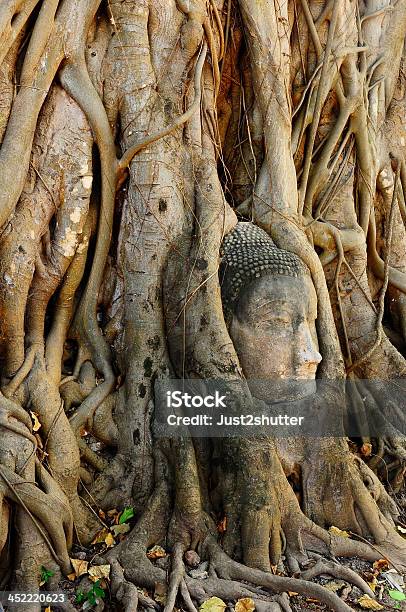 Faccia Di Buddha In Base Al Wat Mahathatayuthayatailandia - Fotografie stock e altre immagini di Albero