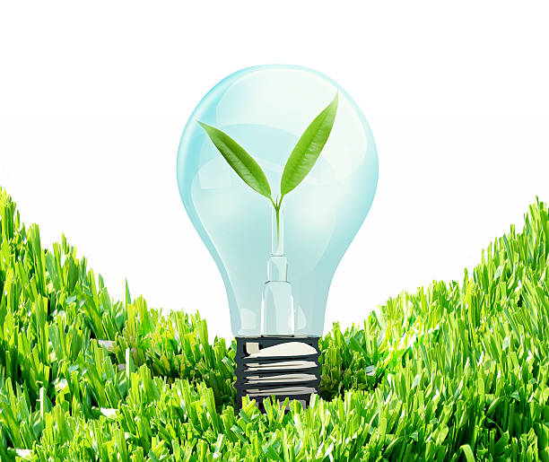 istock light bulb grow in the grass against white background 452221923