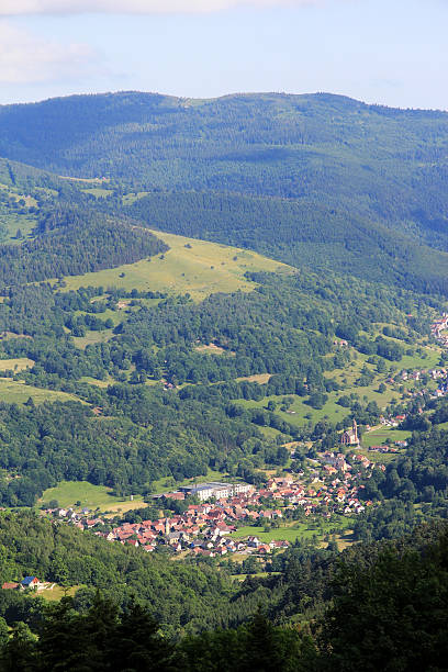 istock Village in the Vosges 452221937