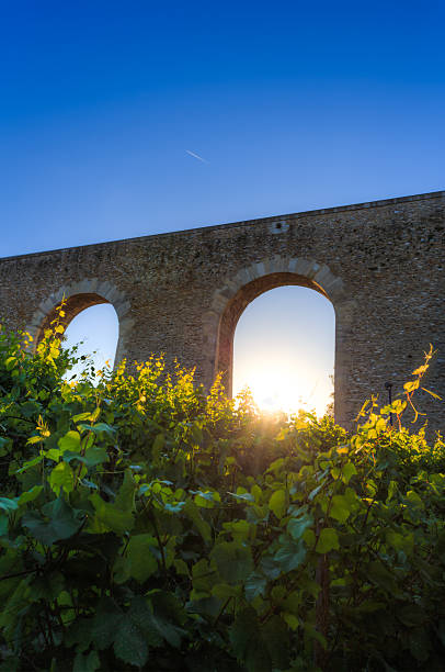 The Aqueduct of Louveciennes, sometimes called aqueduct Marly1 is an aqueduct built in the seventeenth century under the reign of Louis XIV. Located in the town of Louveciennes, Yvelines