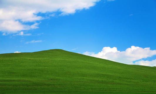 Grassland and blue sky 