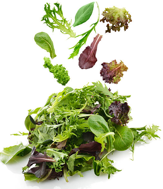 Salad Leaves Fresh Salad Leaves Assortment On White Background arugula falling stock pictures, royalty-free photos & images