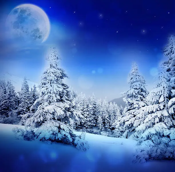 Photo of Christmas tree, winter night in mountains.