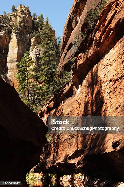 Photo libre de droit de Wilderness Slot Canyon Stream Réflexion banque d'images et plus d'images libres de droit de Beauté de la nature - Beauté de la nature, Canyon, Endroit isolé