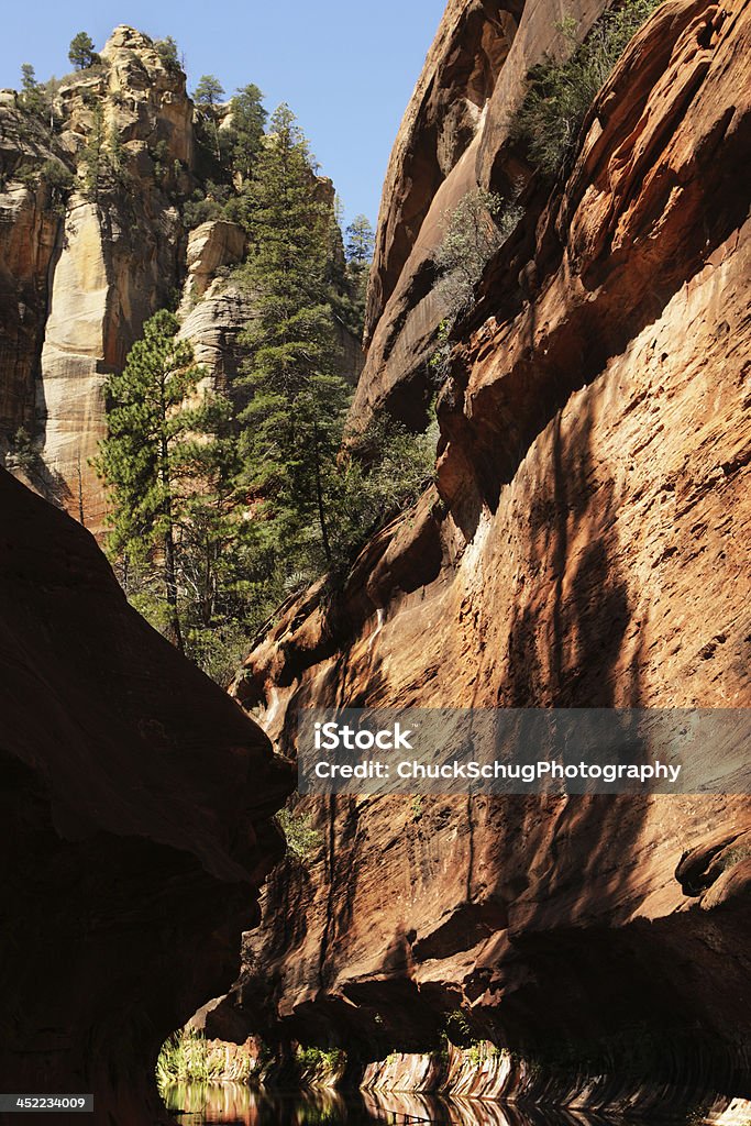Slot Canyon Reserva Ecológica de corrente reflexão - Royalty-free Ao Ar Livre Foto de stock
