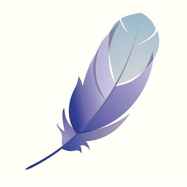Feather detaillierte – Vektorgrafik