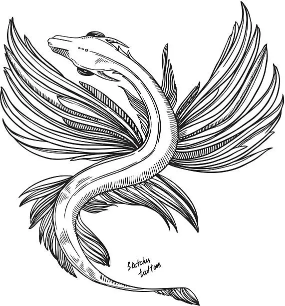 Vector illustration of sketch tattoo - fantastic flying dragon