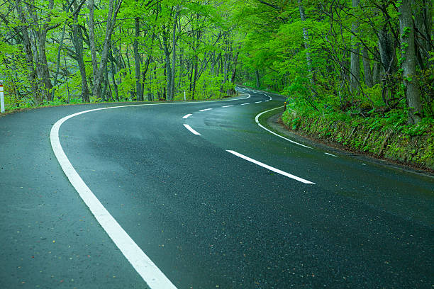 istock Wet road in a green forest 452238865