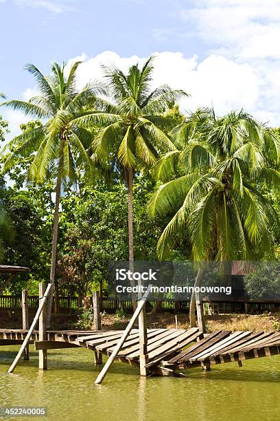 코코넛 나무 연못 옆에 0명에 대한 스톡 사진 및 기타 이미지 - 0명, 경관, 고요한 장면