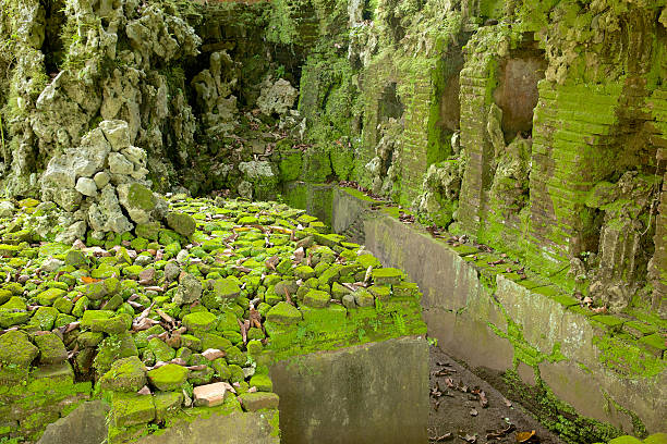 A detail of the riverbank in London. The river Thames is low tide. The wall is green from the seaweed