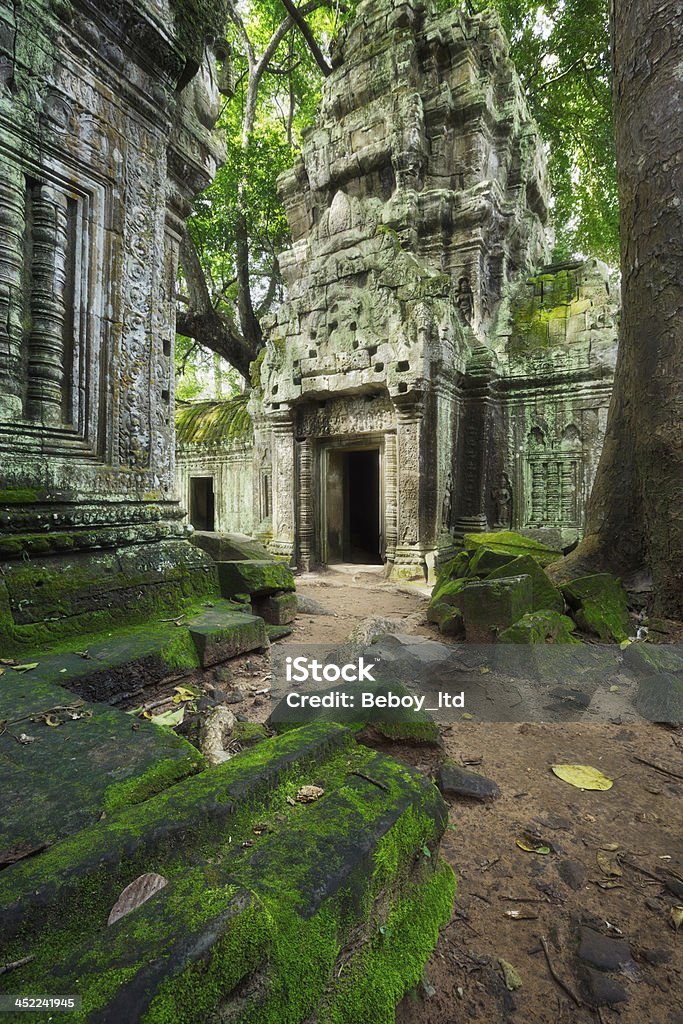 Ta Prohm temple in Cambodia Ruins of Ta Prohm temple in Cambodia Angkor Stock Photo