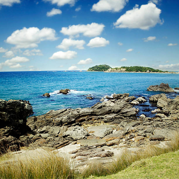 New Zealand coastline, North Island