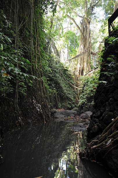 istock River of Monkey forest sancturay at Ubud 452252179