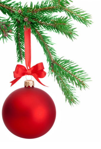 Christmas ball hanging on a fir tree branch Isolated on white background