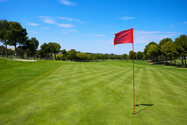 da golf - golf flag golf flag pennant foto e immagini stock