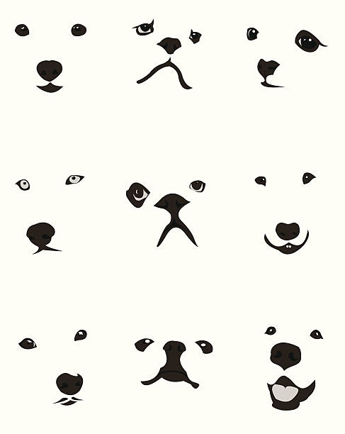 Set of various dog breed faces vector art illustration
