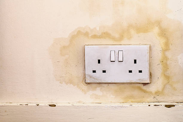 Water Infiltrates Through Wall Around British Electrical Plug Socket Stock image of water staining indoors wall. It surrounds an english electrical plug socket. three pin plug stock pictures, royalty-free photos & images
