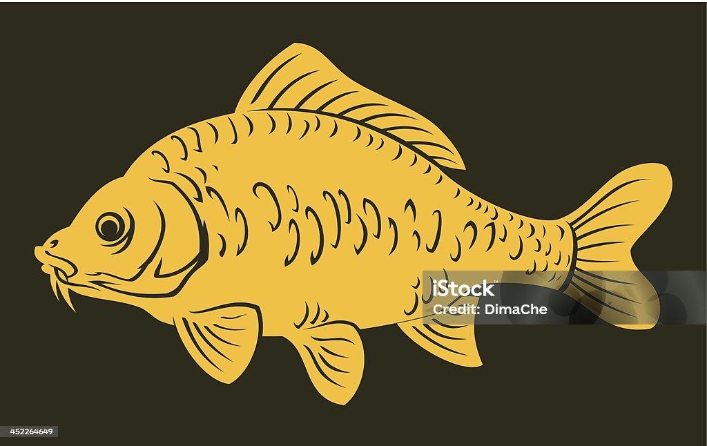 carp fish Fish of the carp family. High resolution PNG file (without background) is also added. Carp stock vector