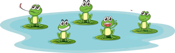 illustrazioni stock, clip art, cartoni animati e icone di tendenza di rana e acqua - frog catching fly water