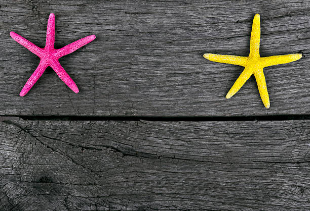 istock starfish frame on vintage old wood 452269523