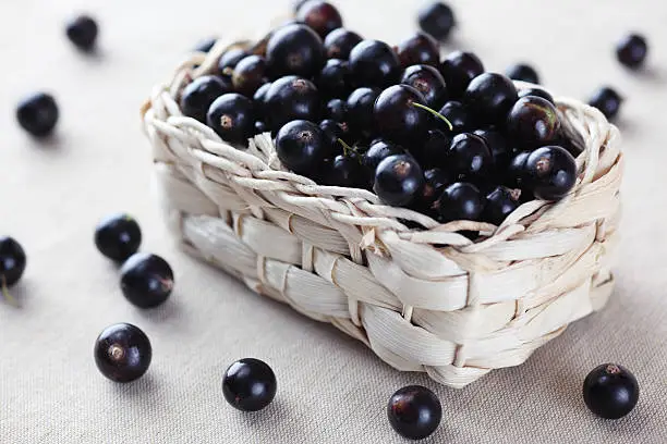 Fresh blackcurrant in a basket.