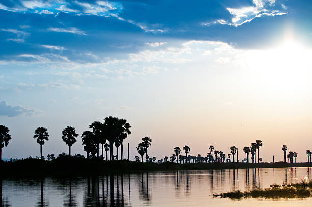 istock morning sun over the lake manze 452346891